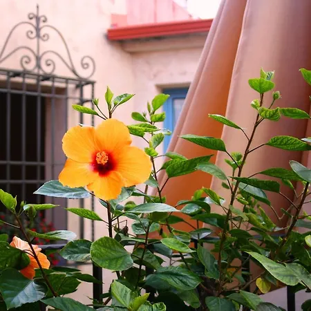 Conde De Cárdenas Hotel Córdoba