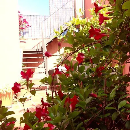 Hotel Conde De Cárdenas